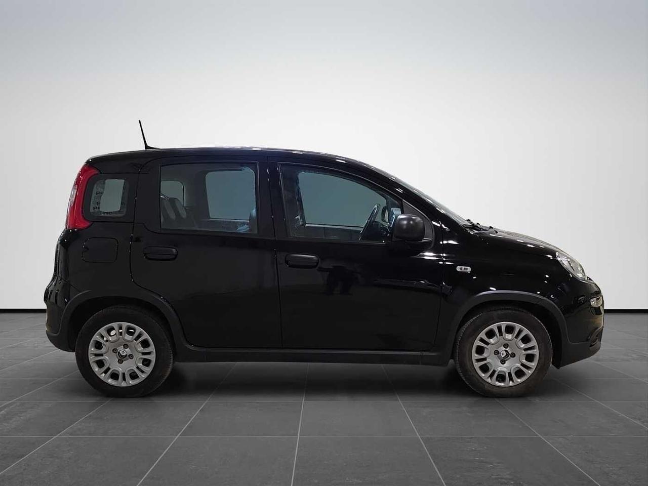 Fiat fiat pandina usata 20