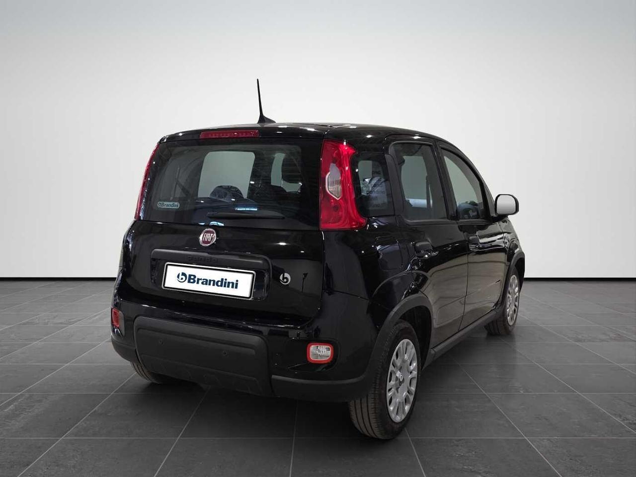 Fiat fiat pandina usata 21