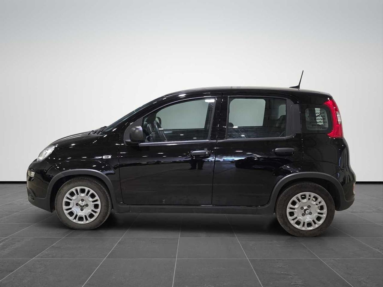 Fiat fiat pandina usata 24
