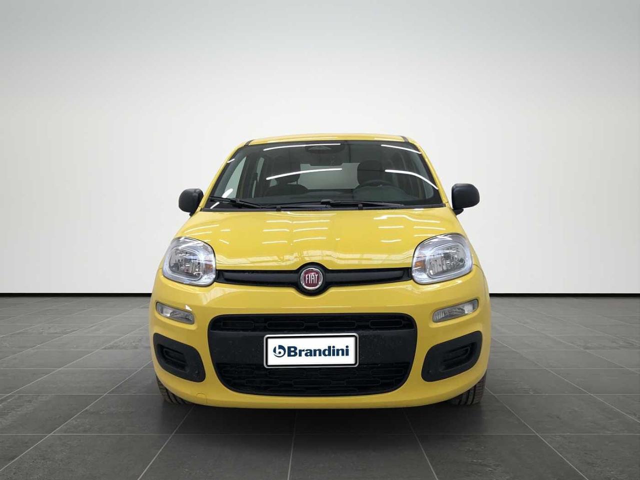 Fiat fiat pandina usata 11