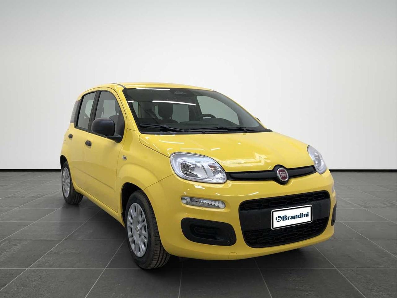 Fiat fiat pandina usata 17