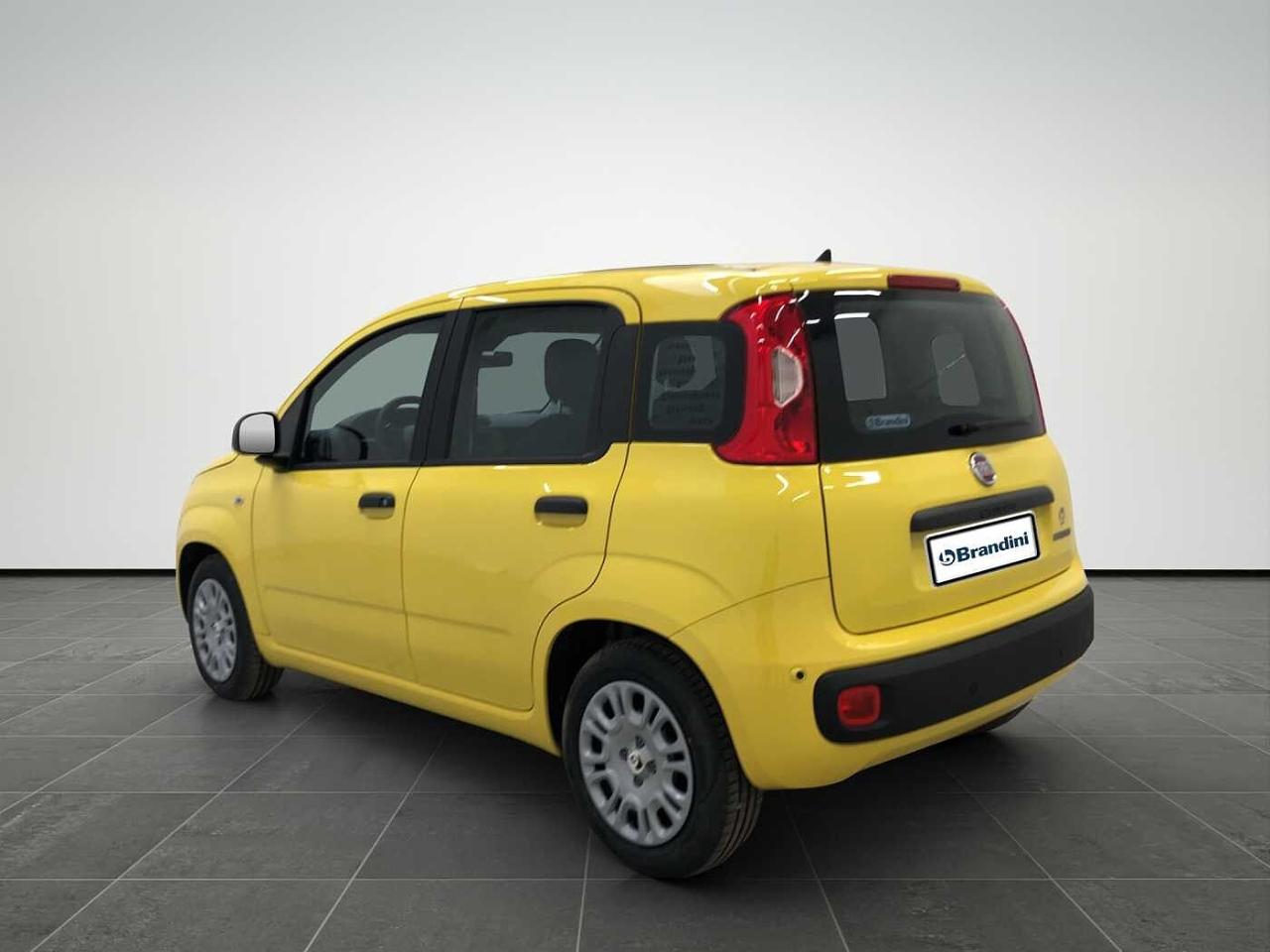 Fiat fiat pandina usata 18