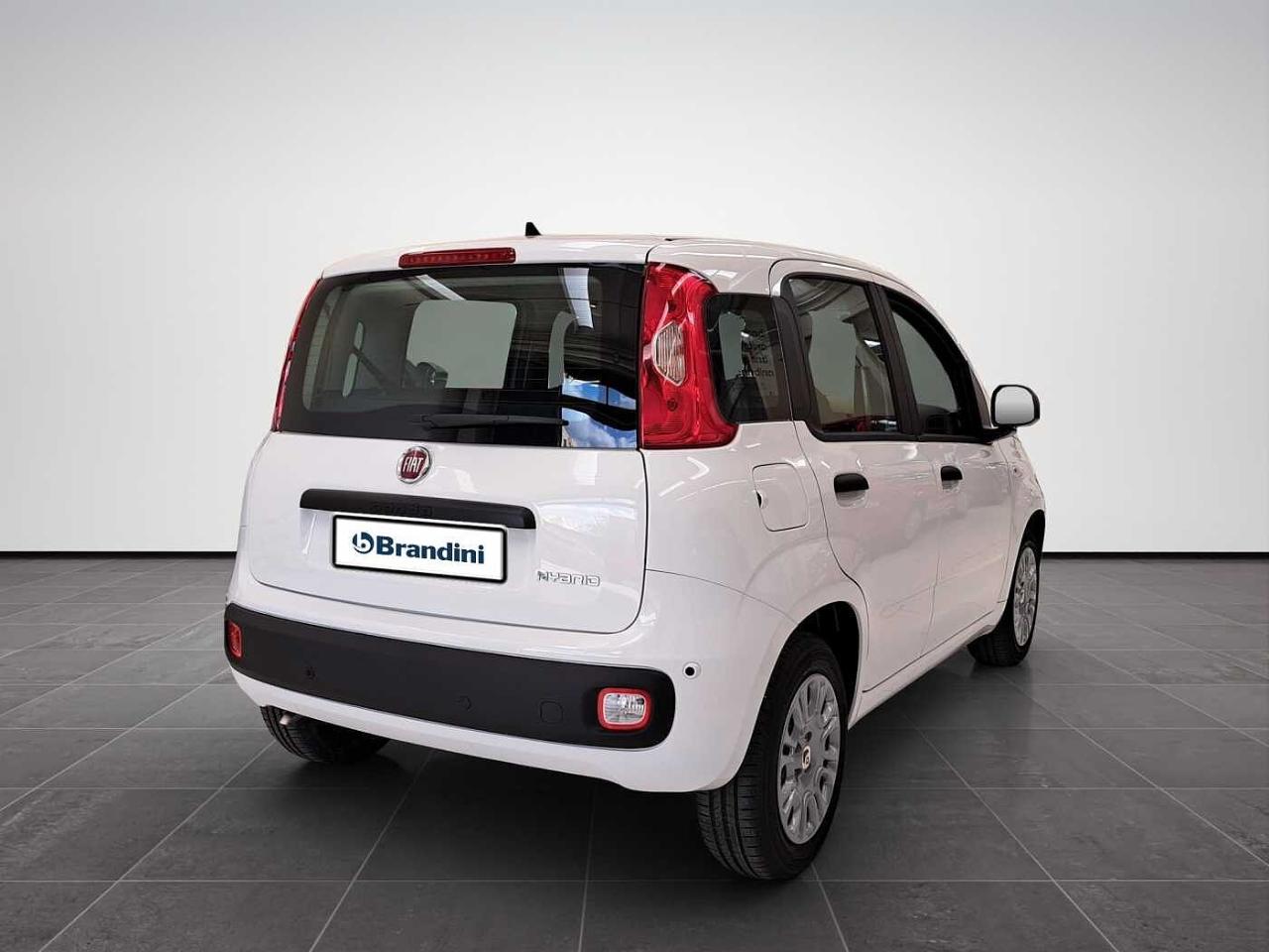 Fiat fiat pandina usata 18