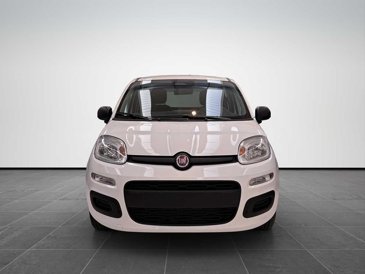 Fiat fiat pandina usata 11