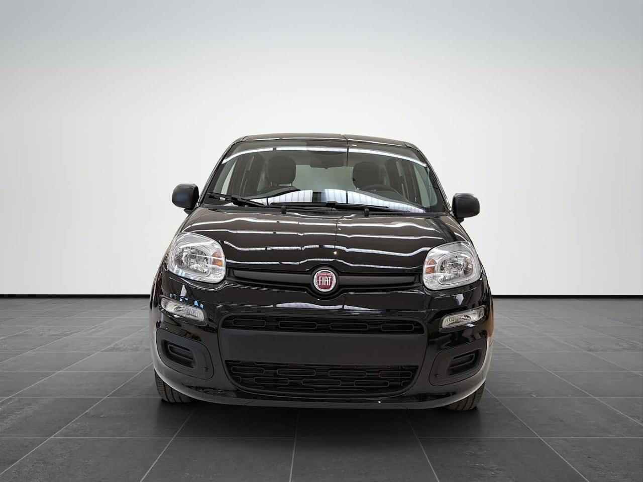 Fiat fiat pandina usata 11