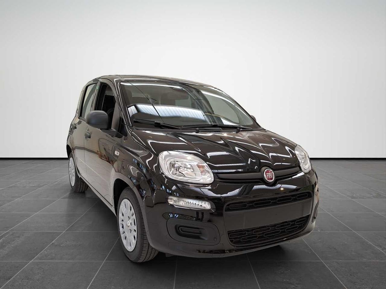 Fiat fiat pandina usata 15
