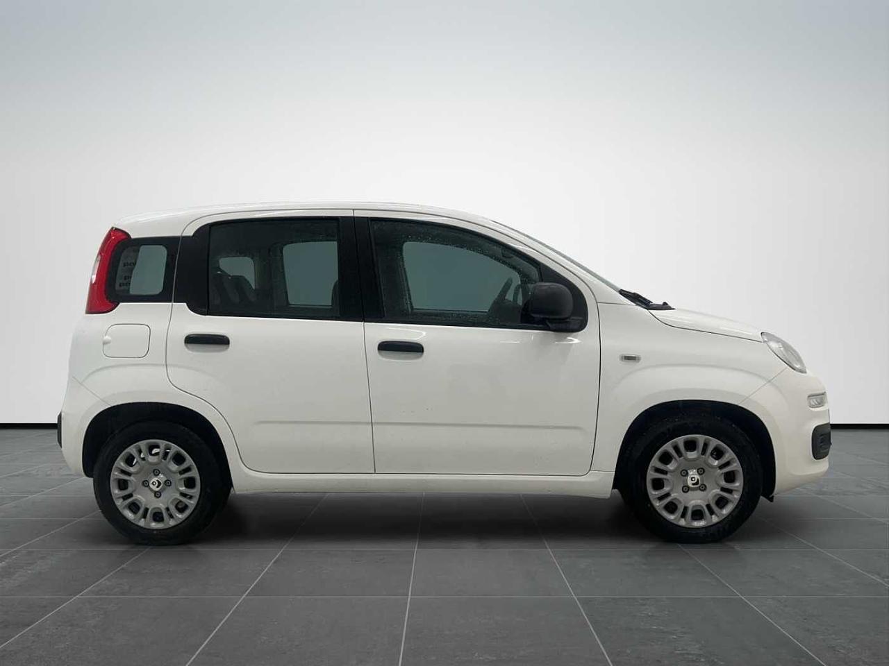 Fiat fiat pandina usata 20