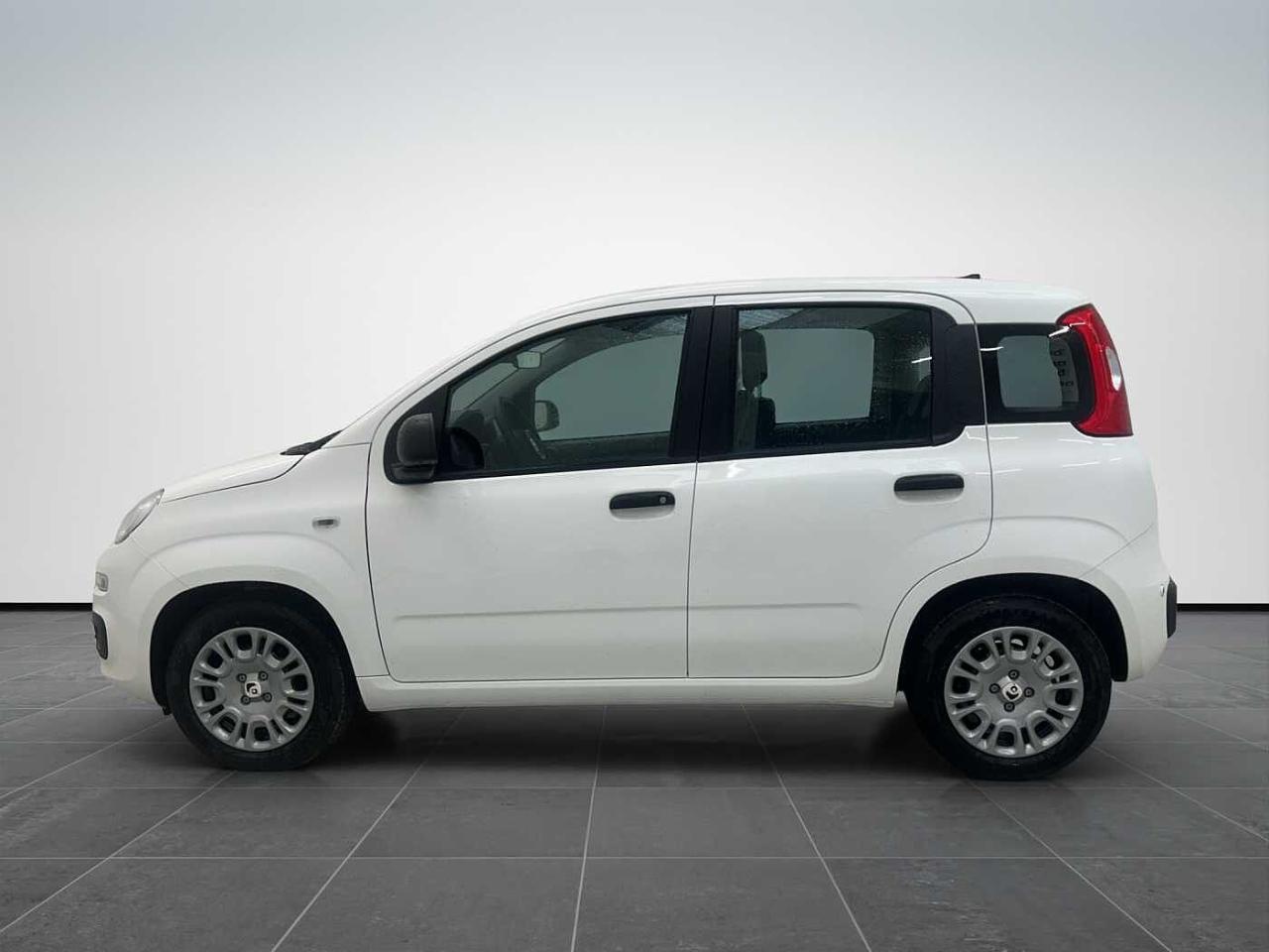 Fiat fiat pandina usata 24