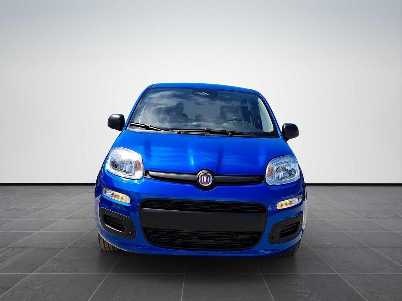 Fiat fiat pandina usata 11