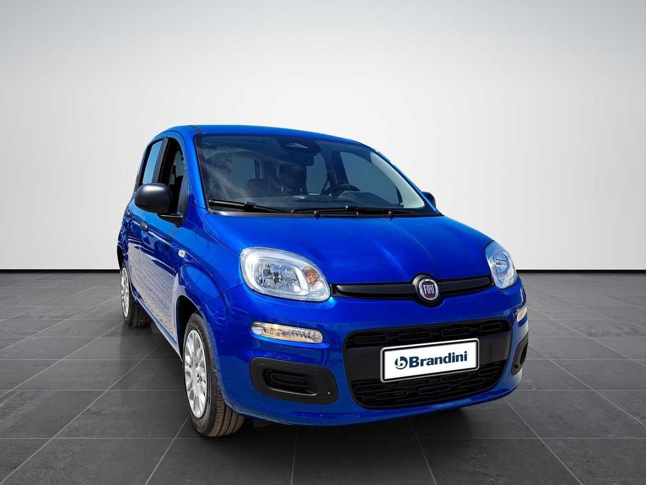 Fiat fiat pandina usata 17
