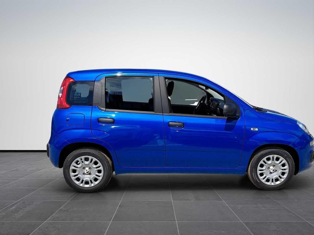 Fiat fiat pandina usata 18