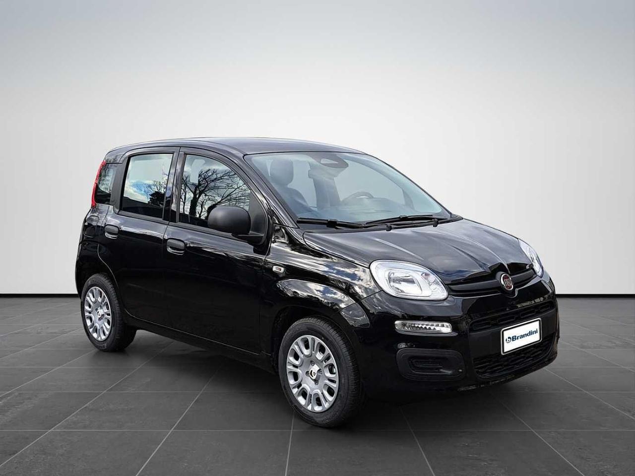 Fiat fiat pandina usata 17