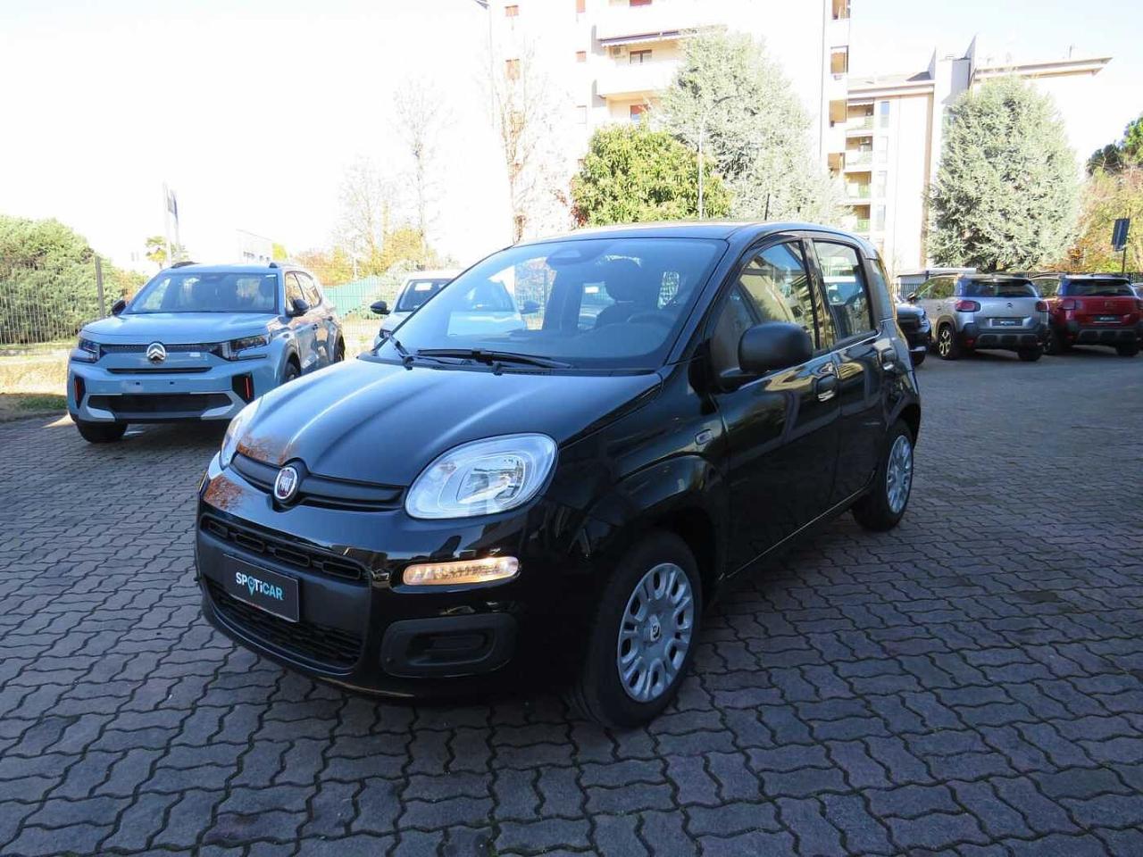 Fiat fiat pandina usata 15