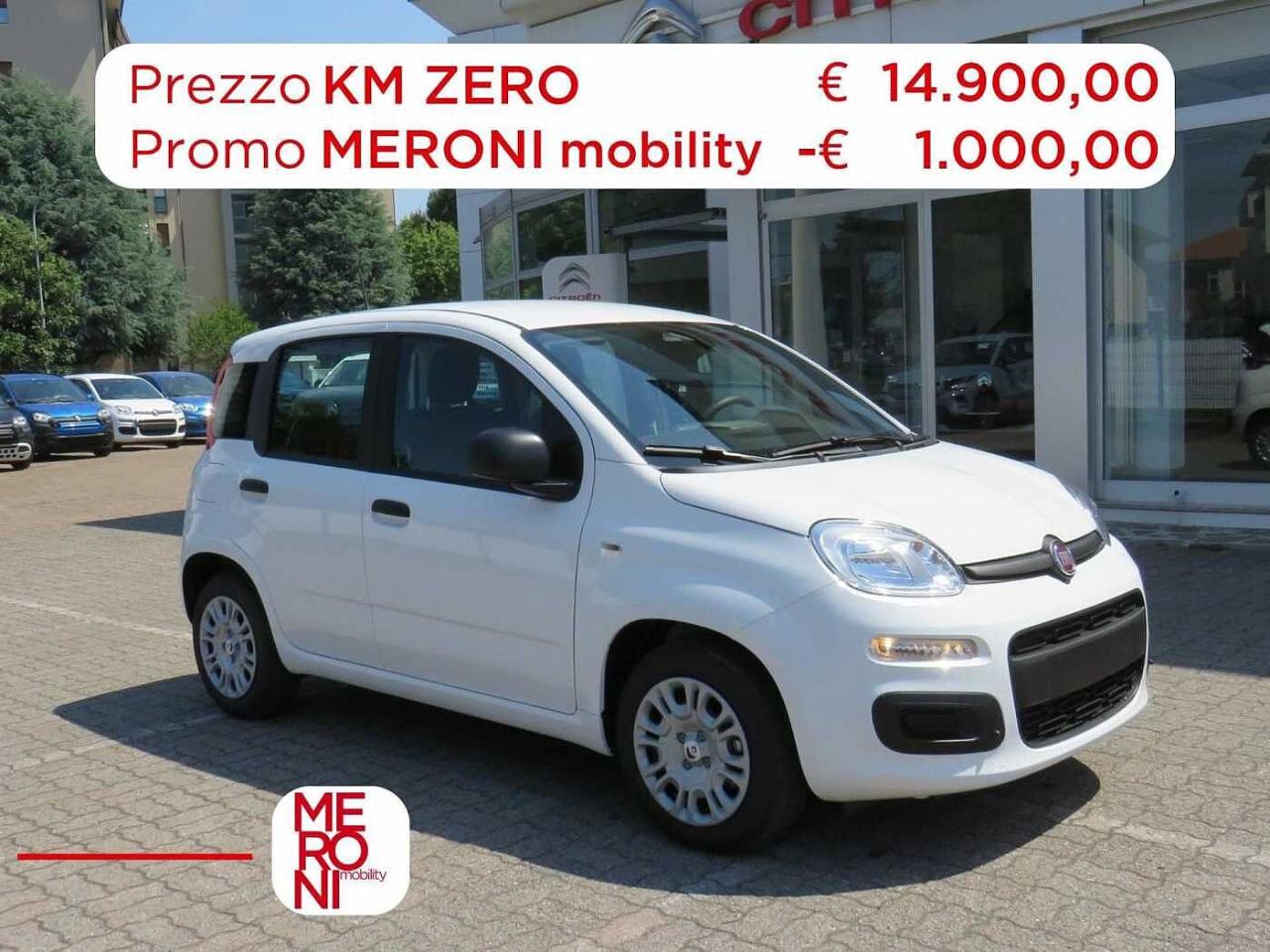 Fiat pandina