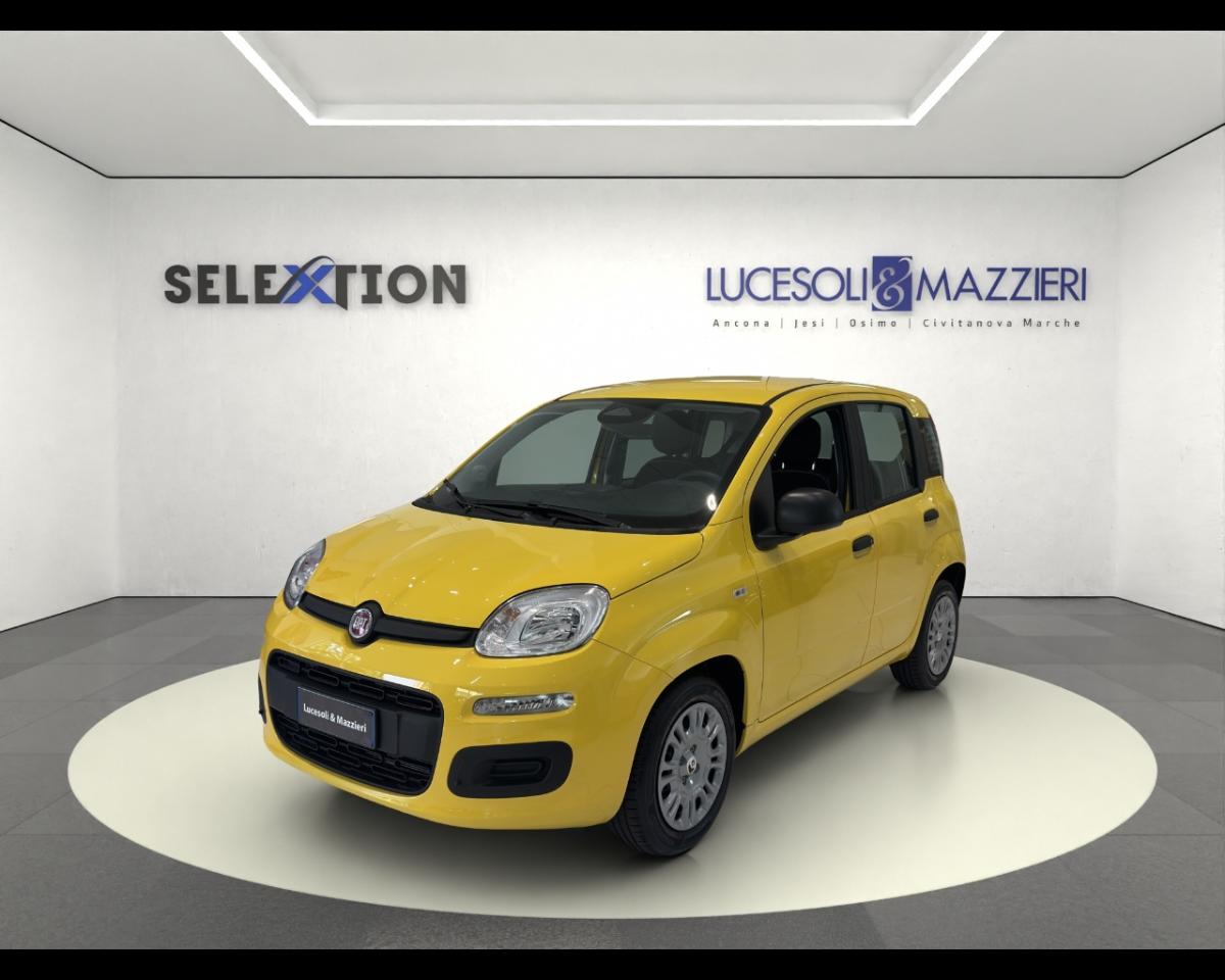 Fiat pandina