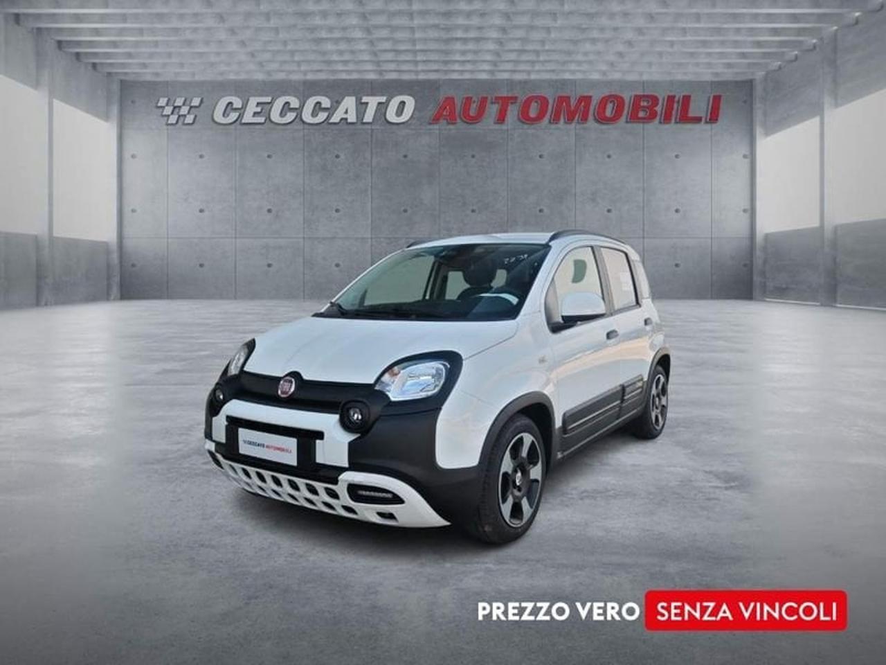 Fiat pandina