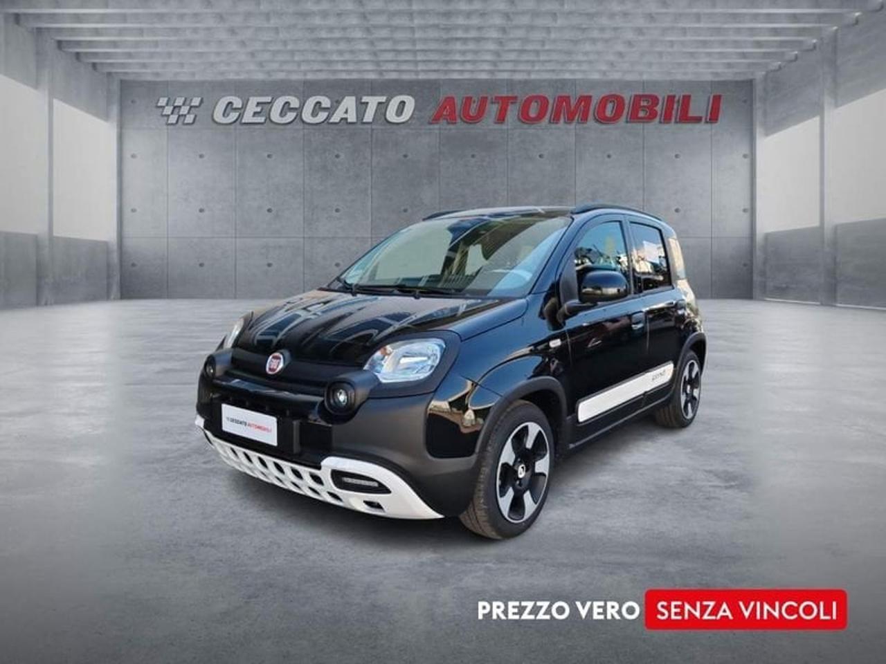 Fiat pandina