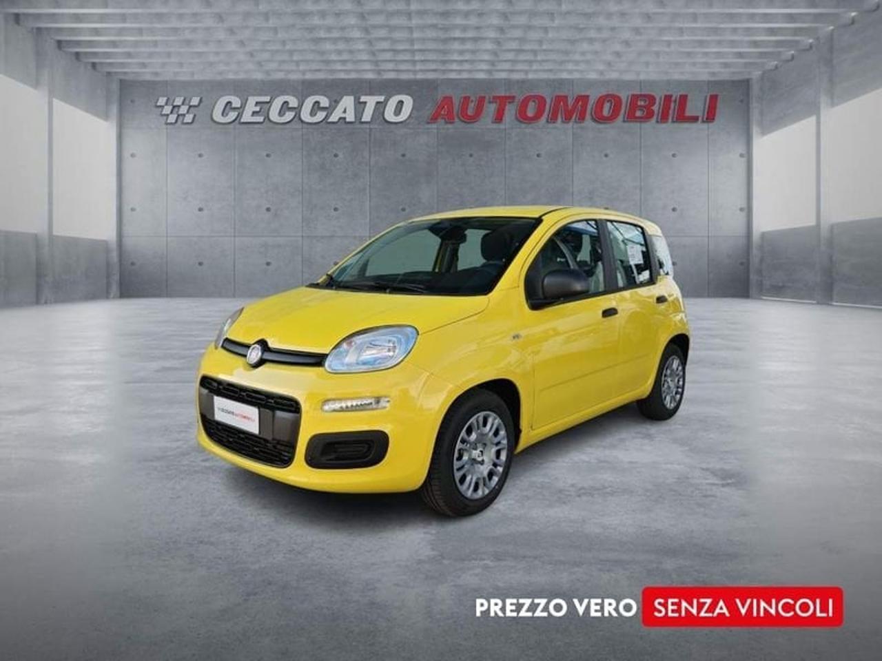 Fiat pandina