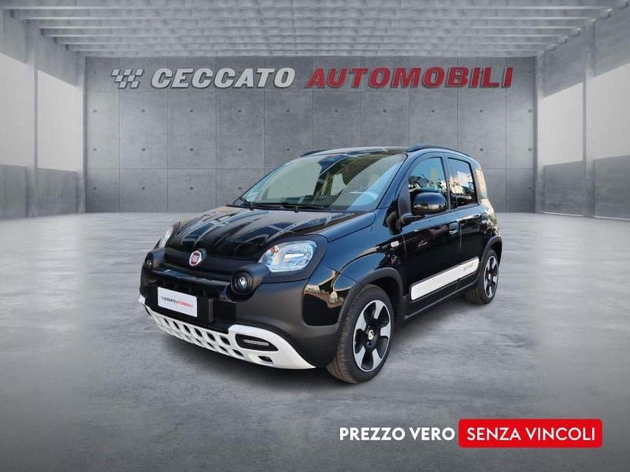 Fiat pandina