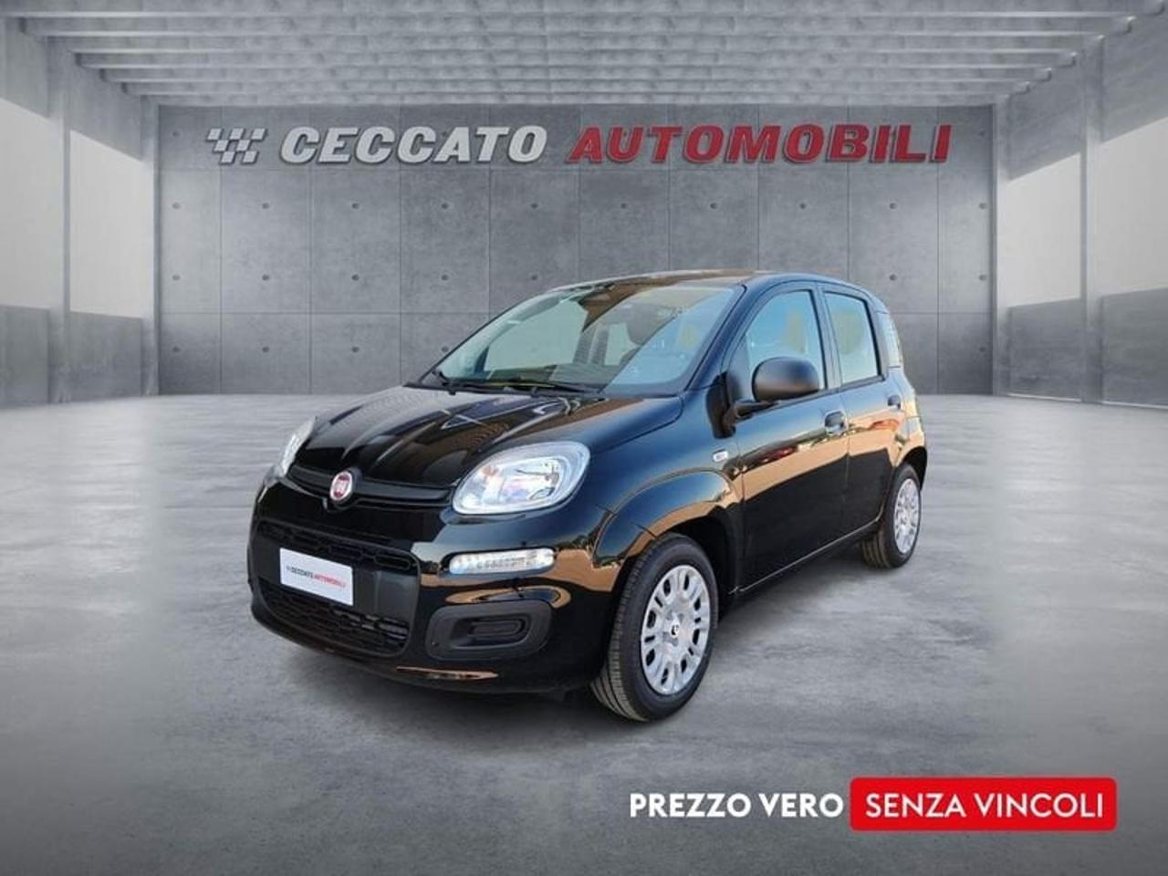 Fiat pandina