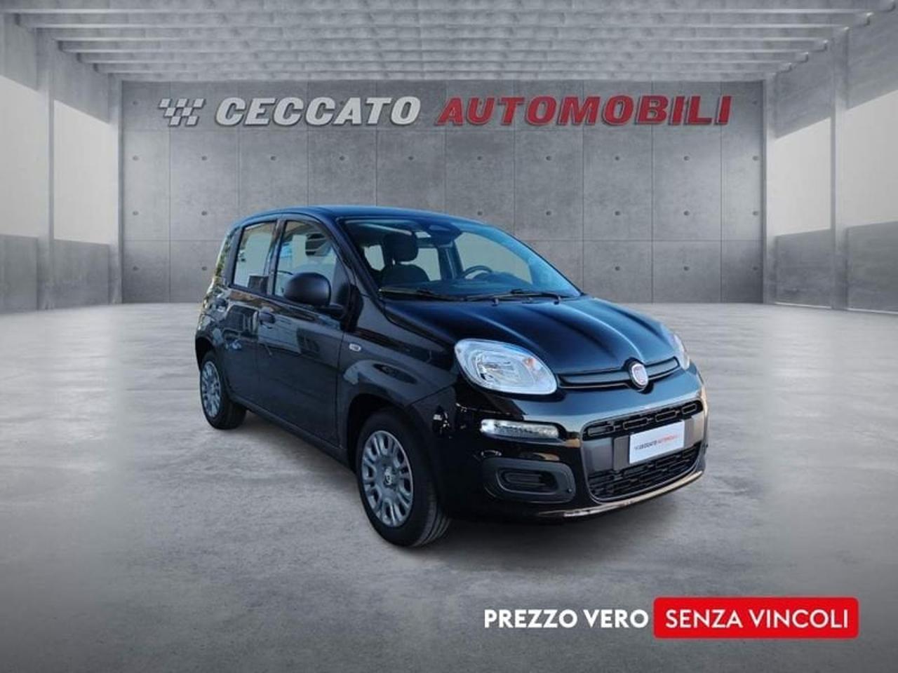 Fiat fiat pandina usata 7