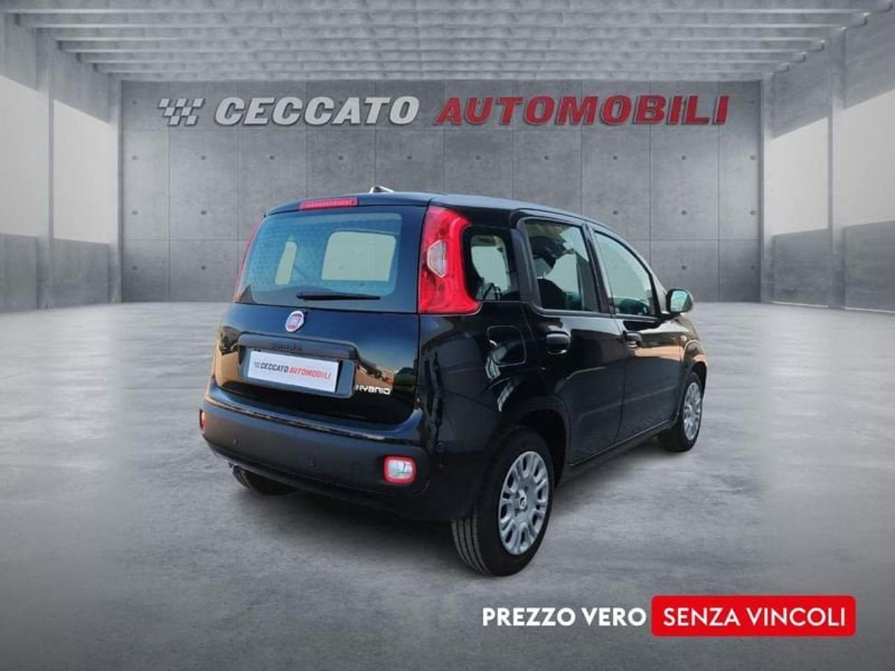 Fiat fiat pandina usata 8
