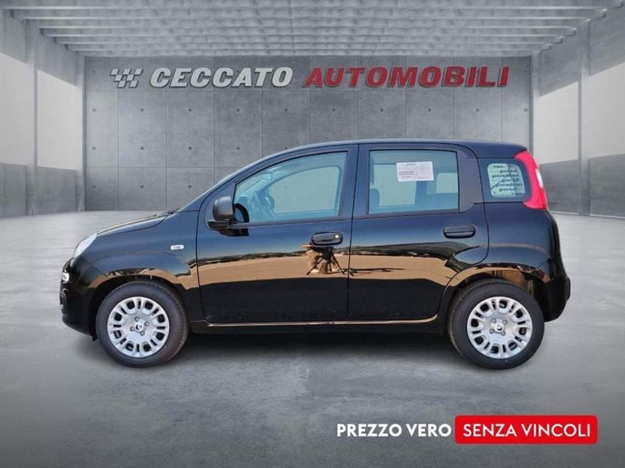 Fiat fiat pandina usata 11