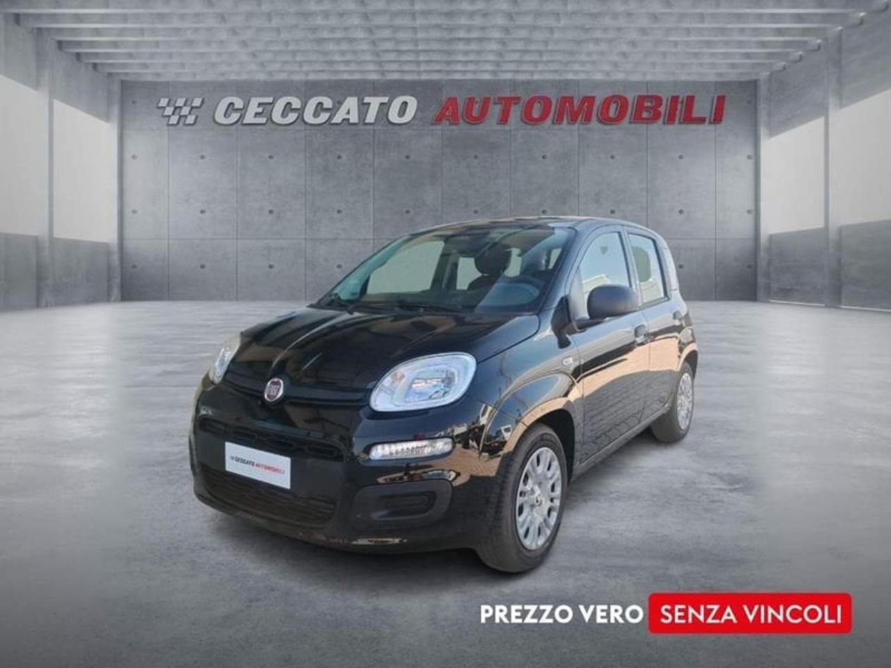 Fiat pandina