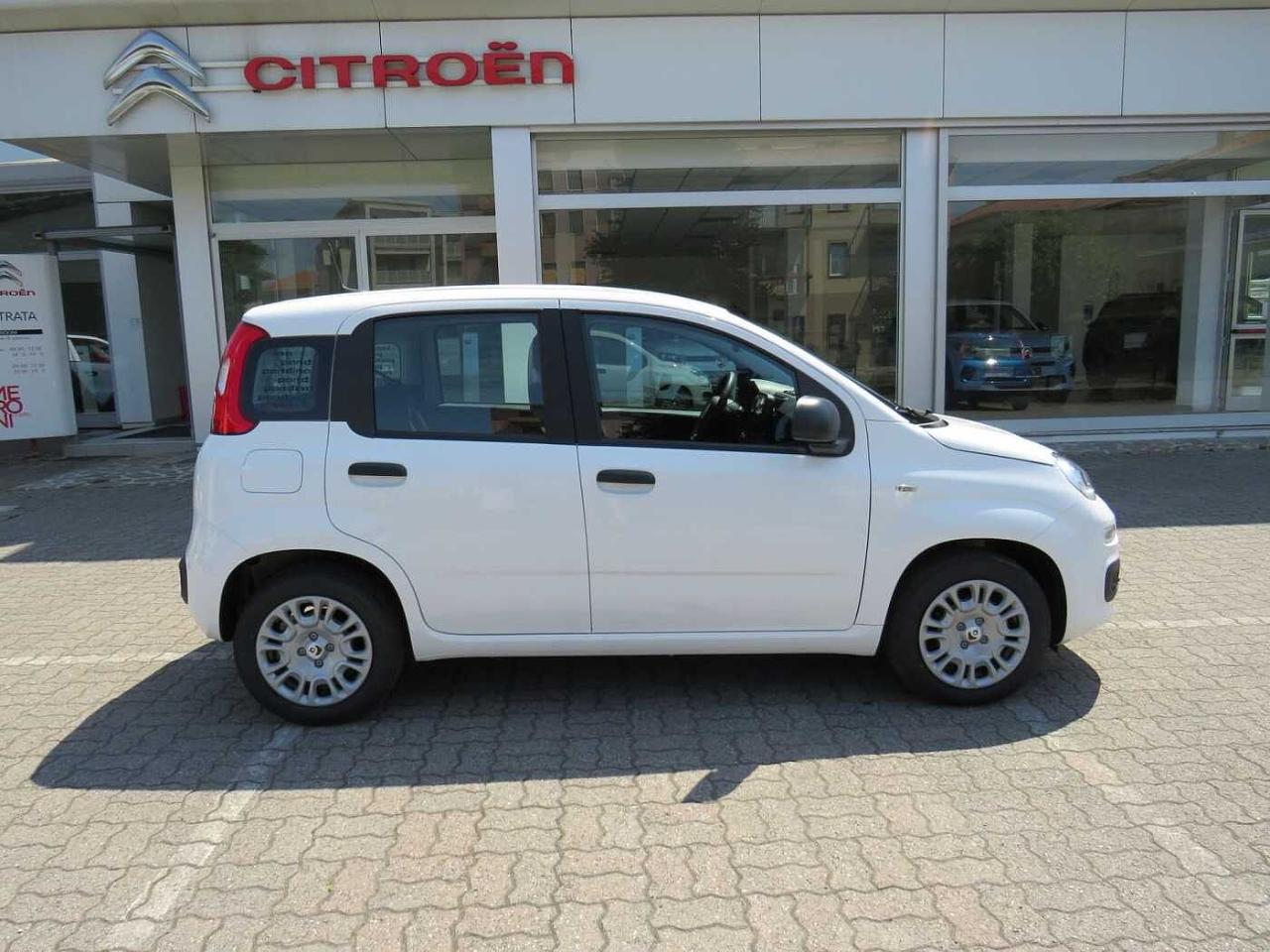 Fiat fiat pandina usata 11