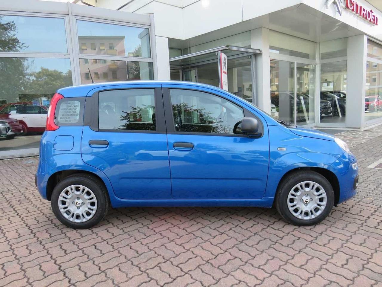 Fiat fiat pandina usata 11