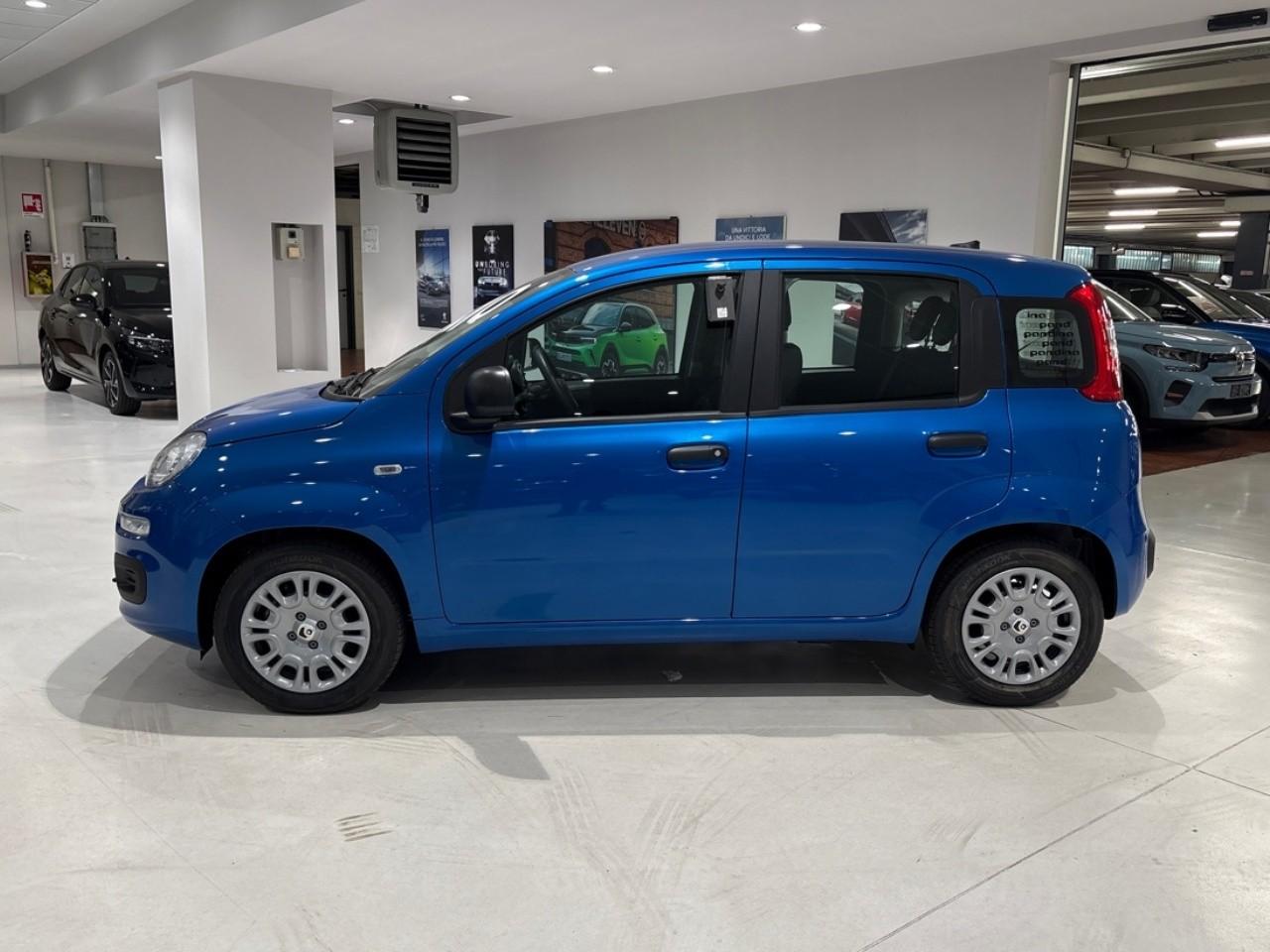 Fiat fiat pandina usata 14