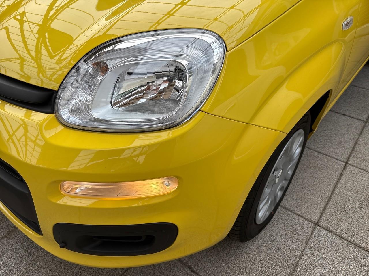 Fiat fiat pandina usata 9