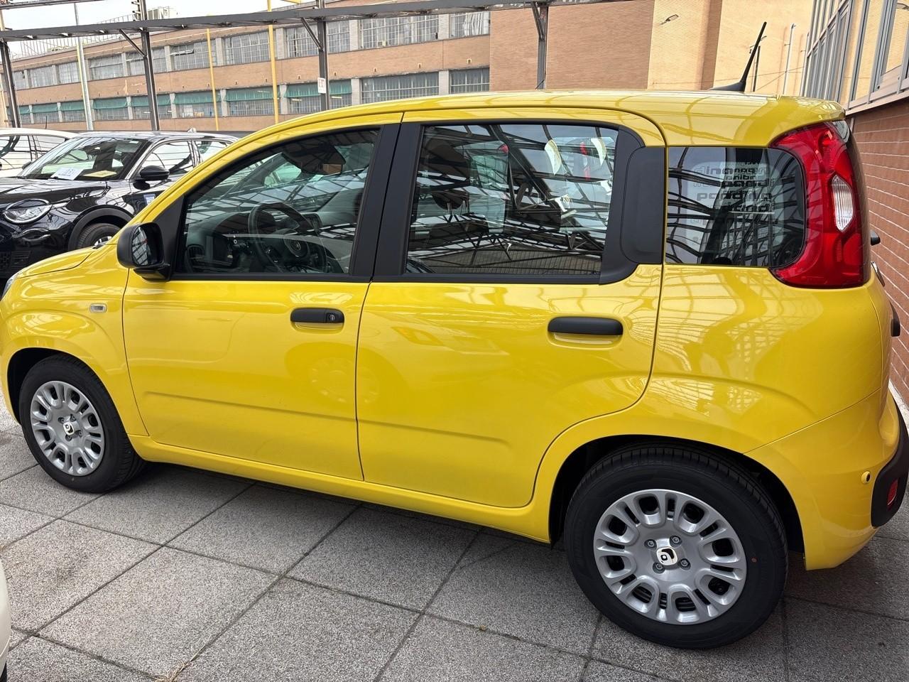 Fiat fiat pandina usata 15