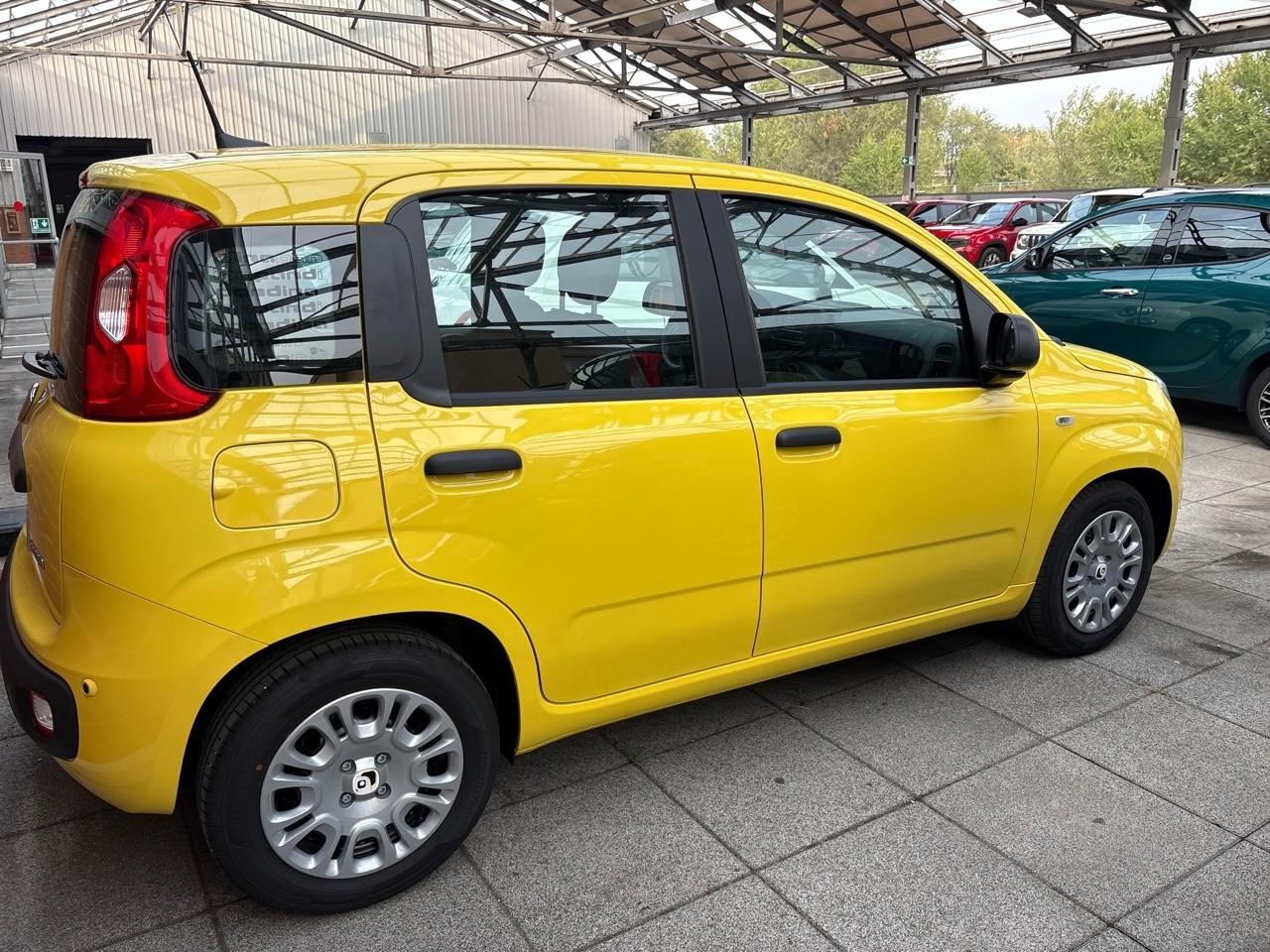 Fiat fiat pandina usata 18