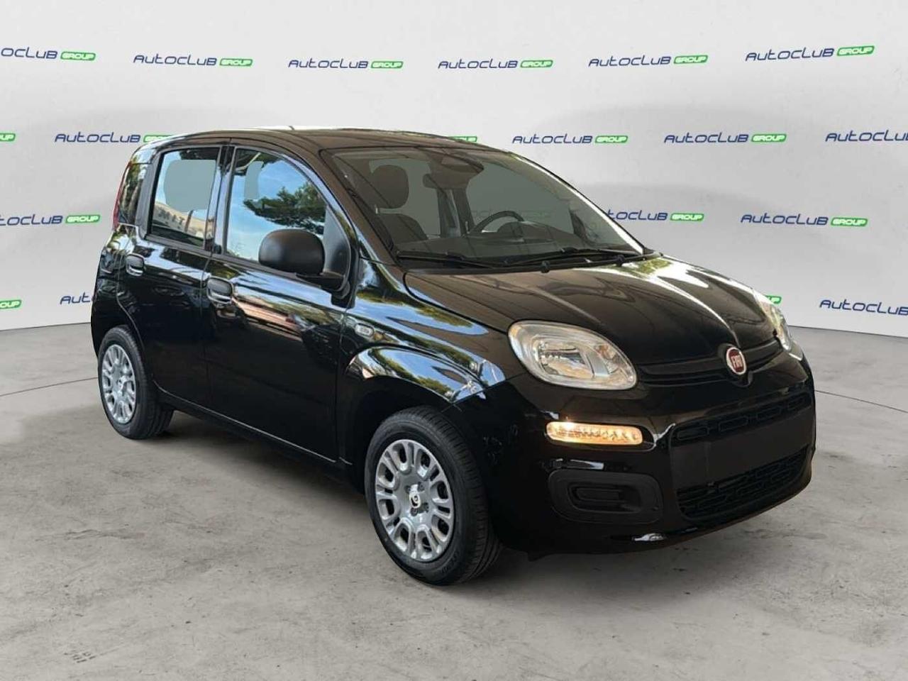 Fiat pandina