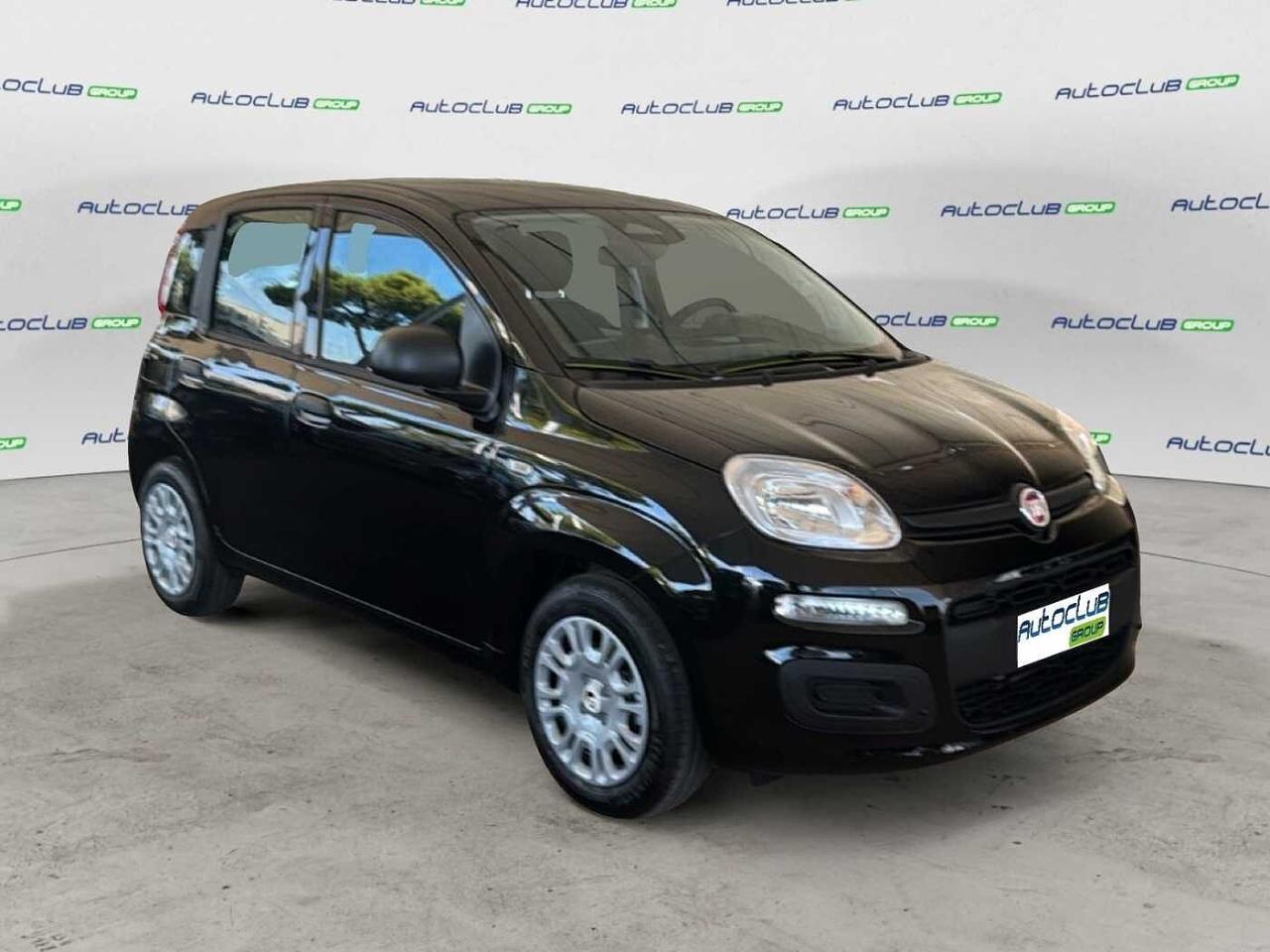 Fiat pandina