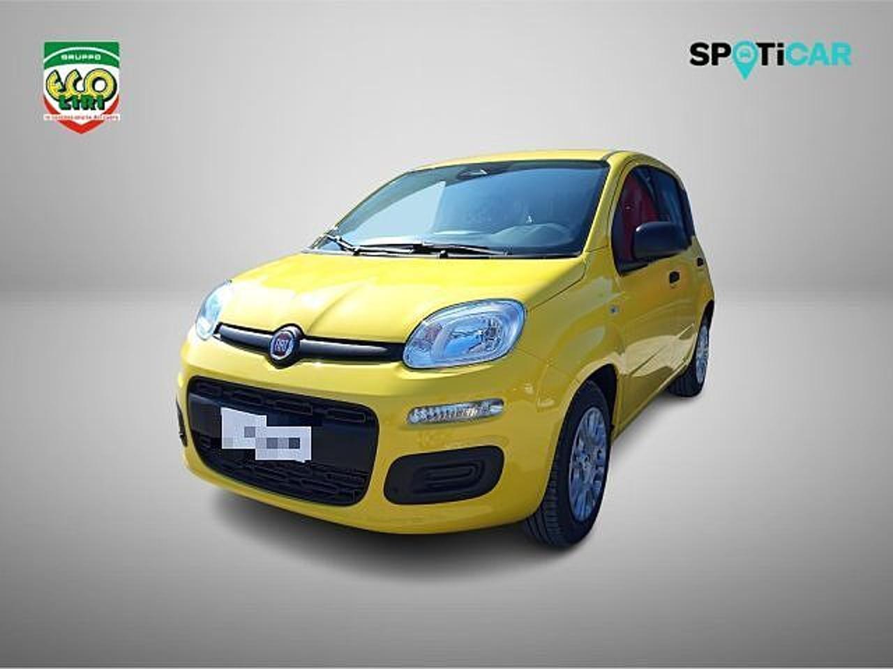 Fiat pandina