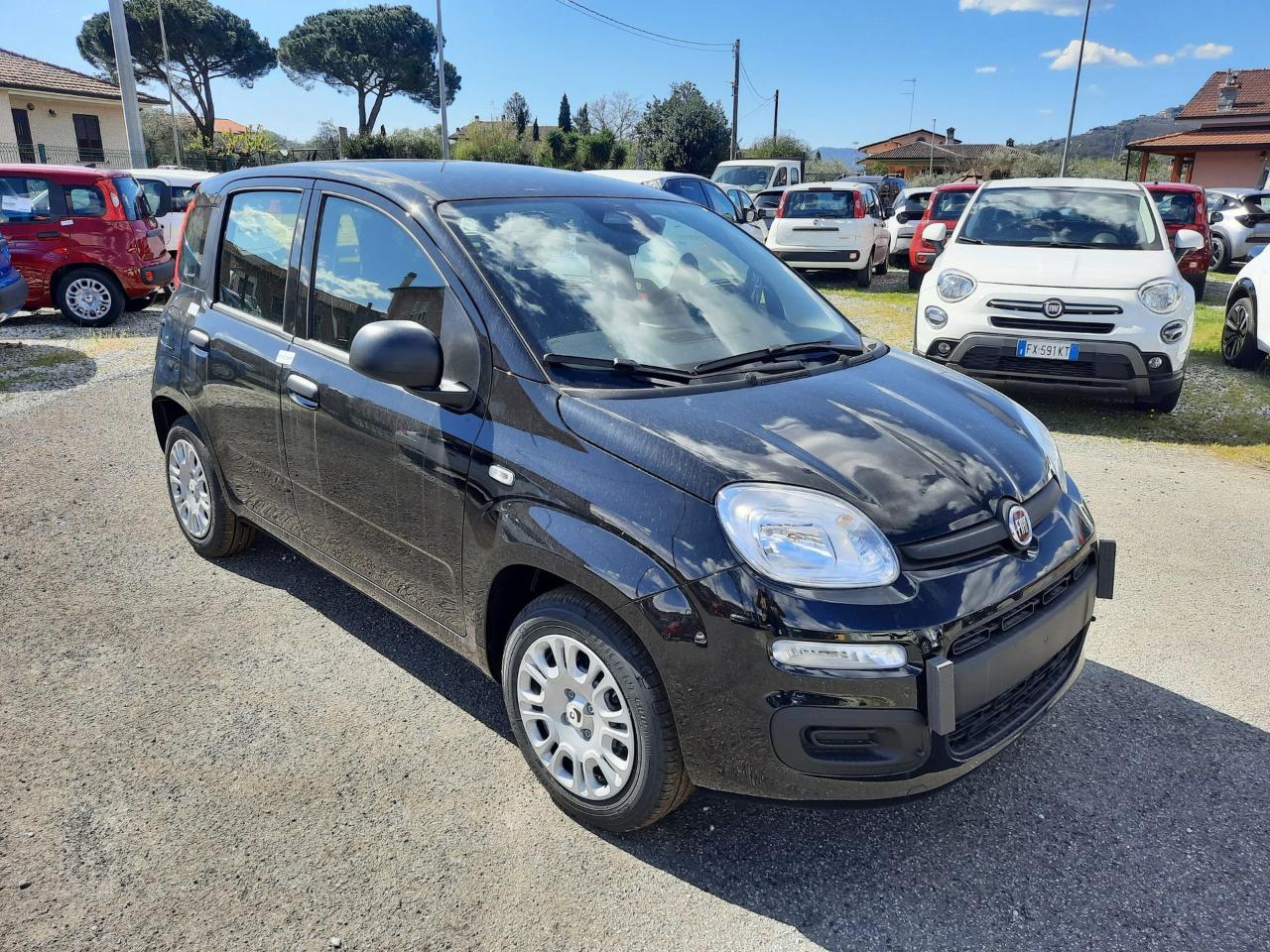 Fiat fiat pandina  