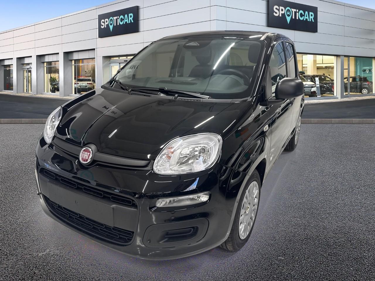 Fiat pandina