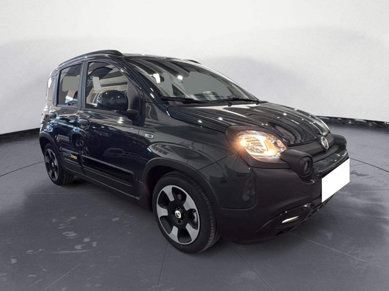 Fiat fiat pandina pandina 