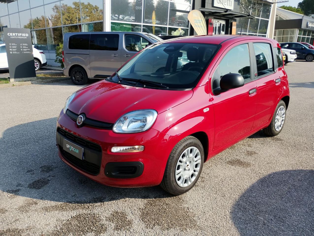 Fiat pandina
