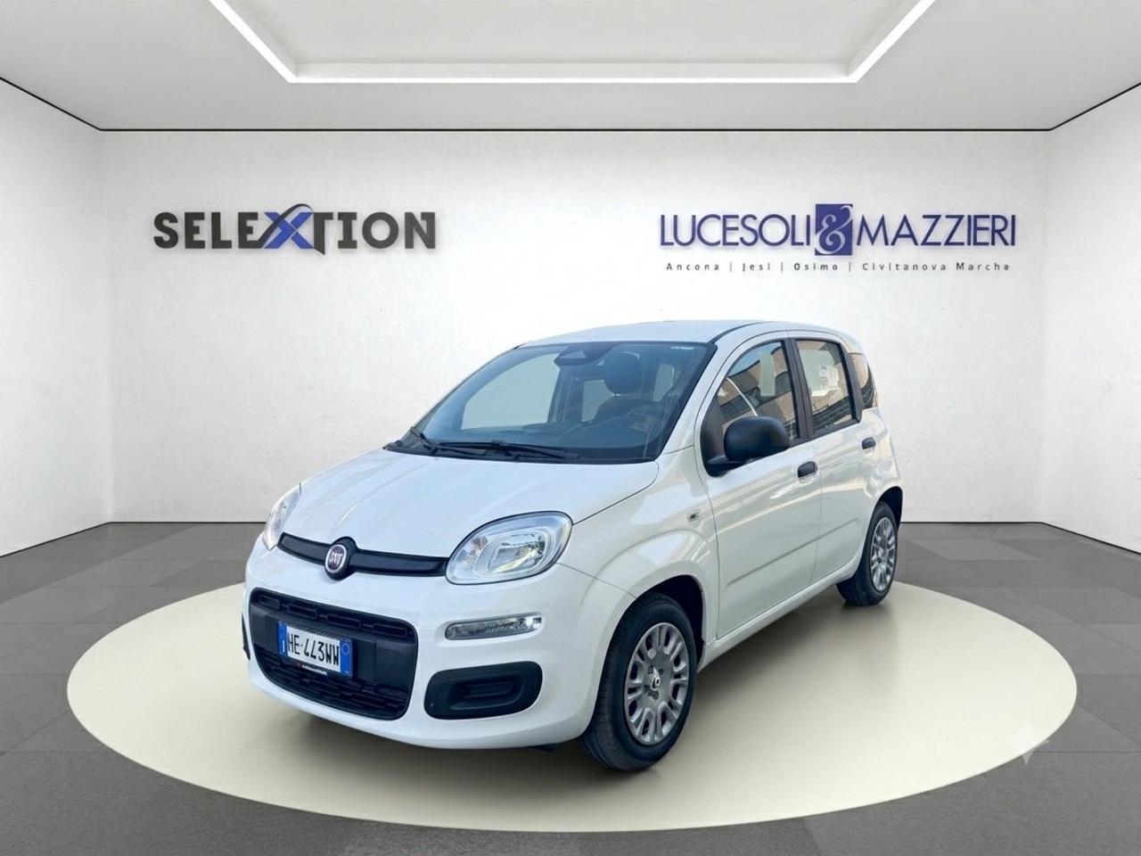 Fiat pandina
