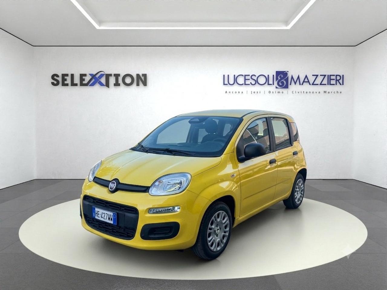 Fiat pandina