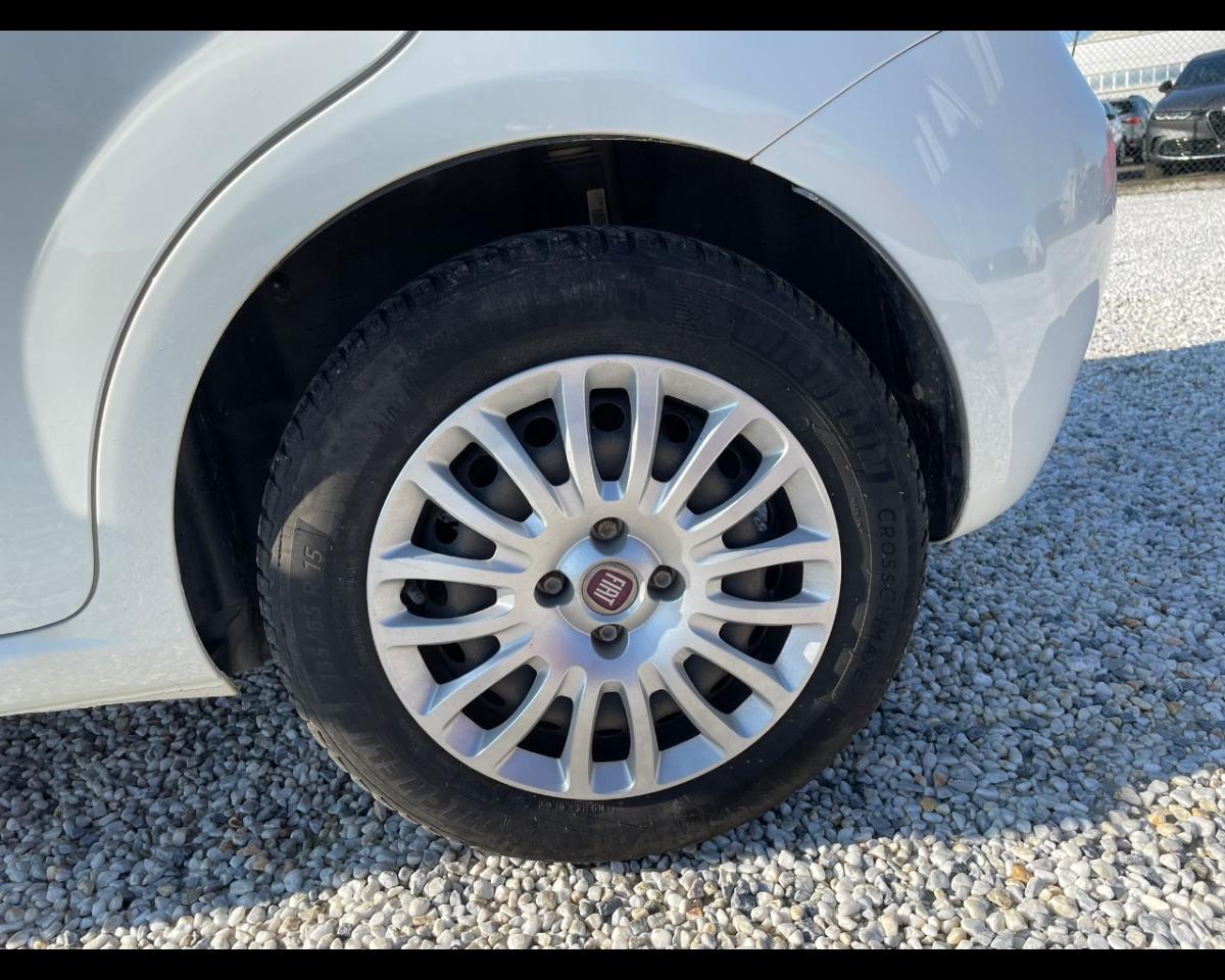 Fiat Fiat Punto usata 7
