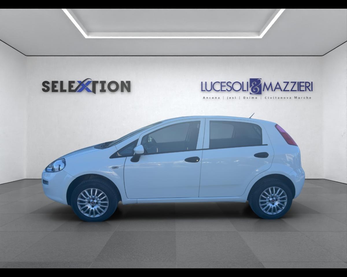 Fiat Fiat Punto usata 8