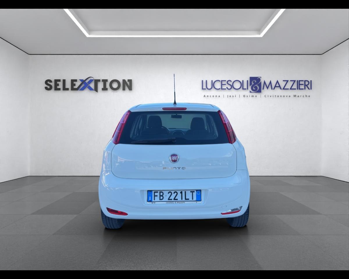 Fiat Fiat Punto usata 9