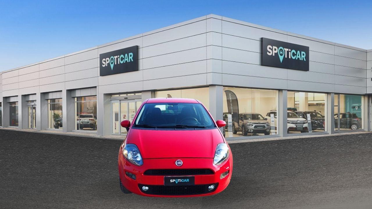 Fiat Fiat Punto usata 11