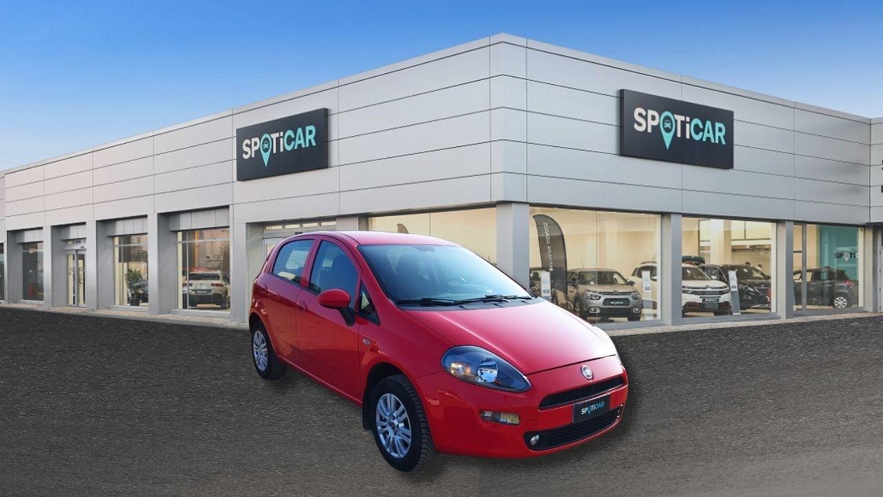 Fiat Fiat Punto usata 13