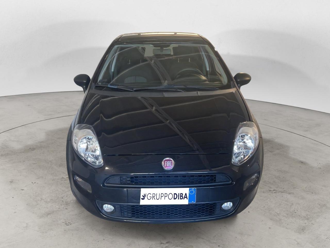 Fiat Fiat Punto usata 10