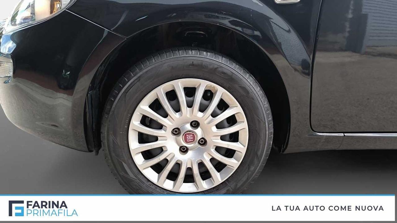 Fiat Fiat Punto usata, con Nessun airbag